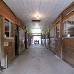 Horse_Barn_Stalls