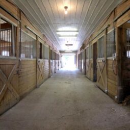 Horse_Barn_Stalls(1)
