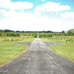 Runway_with_East_View_of_