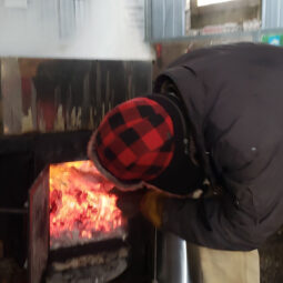 fred making maple syrup